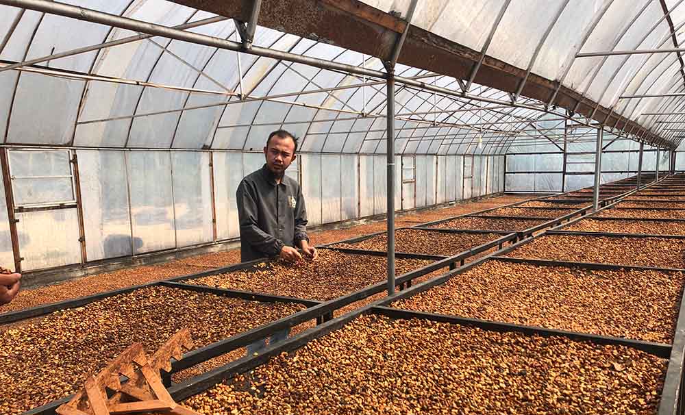 Why Southeast Asian Coffee Deserves a Place in Your Espresso