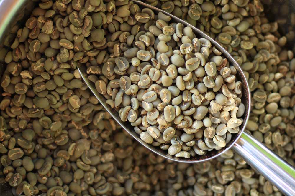 What Is Wet-Hulled Coffee — A Guide to Indonesian Processing